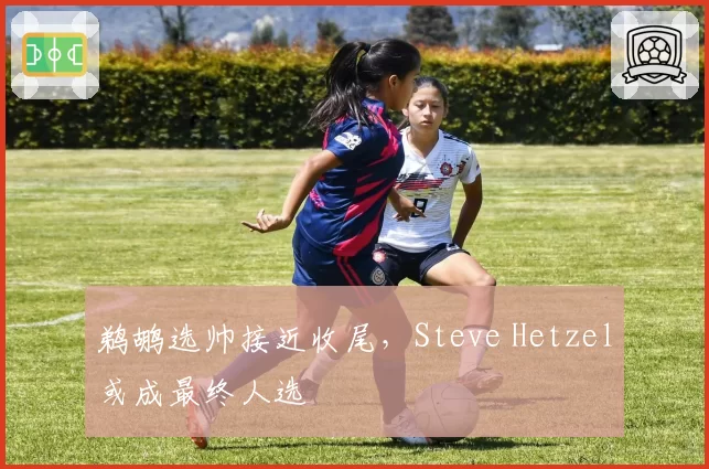 鹈鹕选帅接近收尾，Steve Hetzel或成最终人选