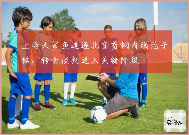 上海大鲨鱼追逐北京首钢内线范子铭，转会谈判进入关键阶段