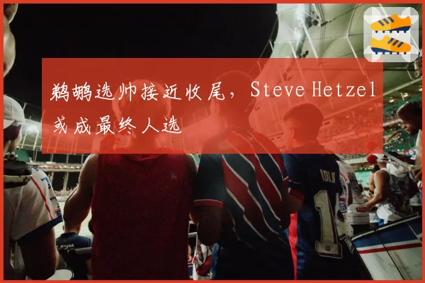 鹈鹕选帅接近收尾，Steve Hetzel或成最终人选